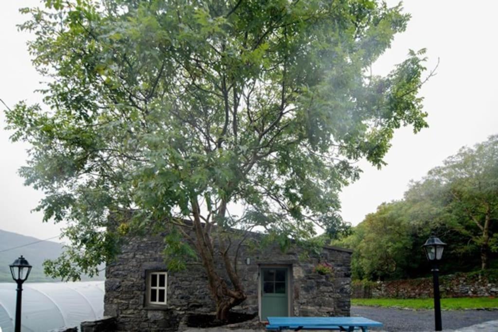 Fanore Fermoyle Properties Glynn'S Cottage מראה חיצוני תמונה